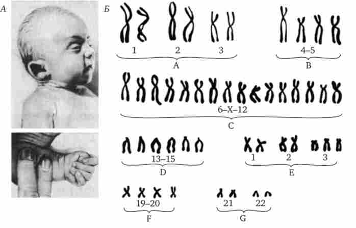 ������� �����쳿 18 (������� ��������)