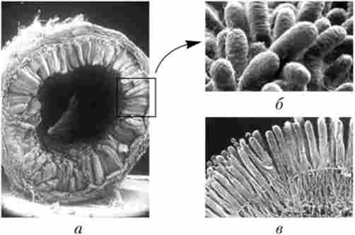 �������� ������� ���������