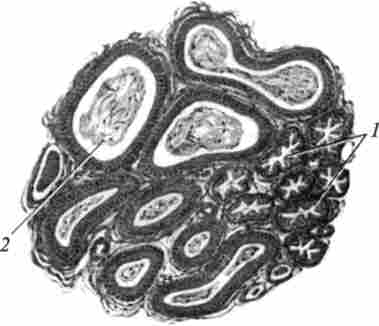 �������� ��'�����