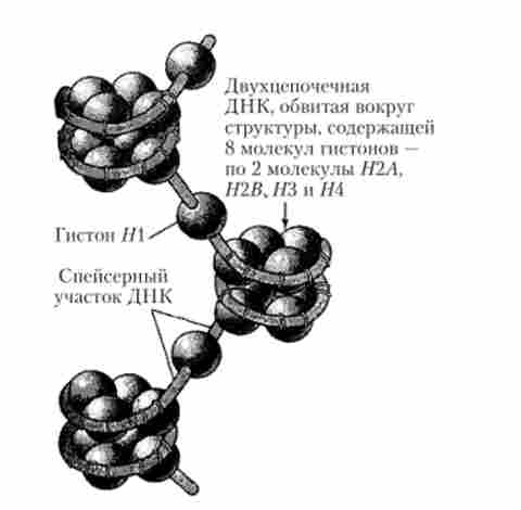 ���������� ���������� ����������� ������ �������� ����� ������������� �������, �� ���������� � ����� ���������