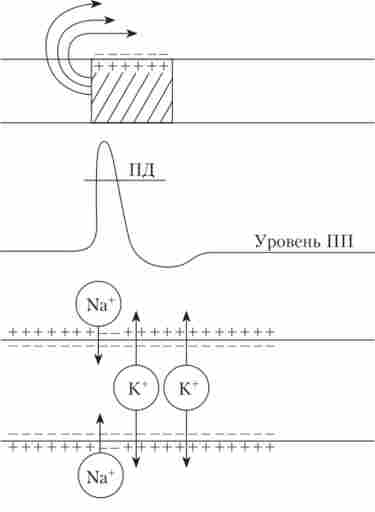 ���������� ���������� 䳿 �� ��������� �������