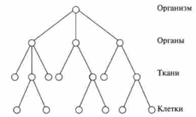 �������� ��������� ������ ���������