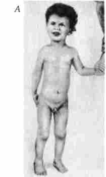 ������� �����쳿 8