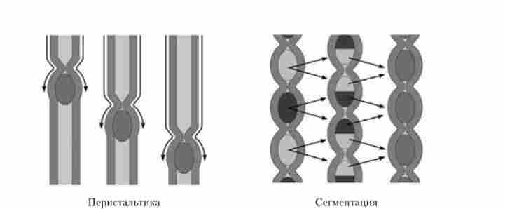 ���� �������� ������� ���������