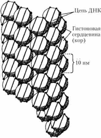 ������ ��������� �������� ��������� � ������������ ��������� (�������), �� ������� �� ������ ���������