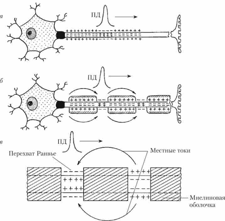 ��������� ���������� 䳿
