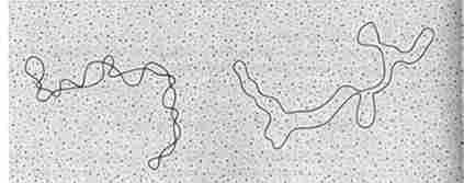 ���������� �������������� ���� ������� ����� � ����� ���� (����� �������� ������� 5 ���)