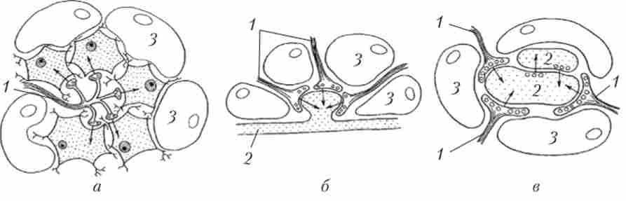 ���� �������� �������, �� ��������� ������������ � ���