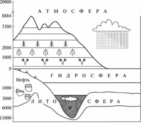 ������� ������� �������