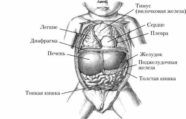 ������������ ��������� ������� ��������������� � ����