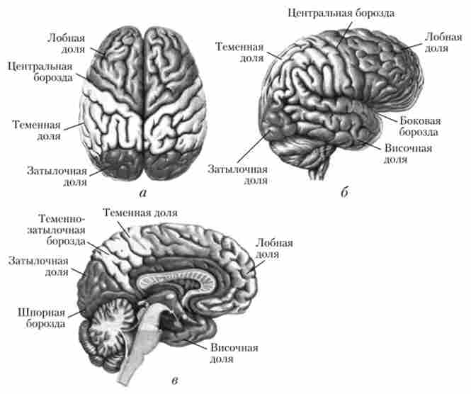 ����� ����� ��������� �����