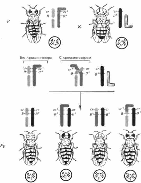 ����� ������������ �. ������, ���� ��������� ����������� �� ������������� ����� � ��������� ������� �������� � ' -��������� � ���������