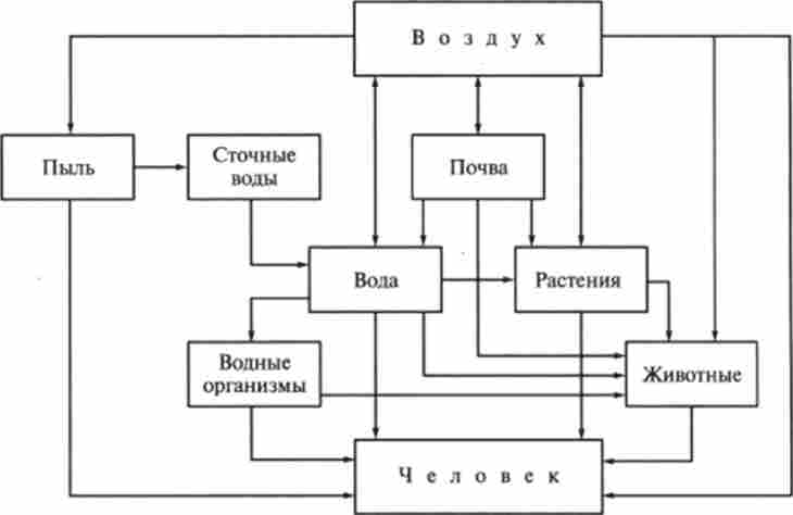 ����� ����������� ������� �������� � �������� ������