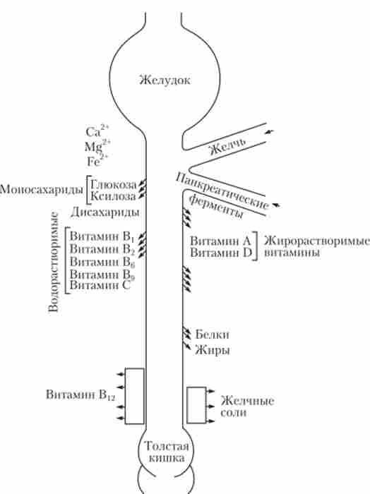 ����� ������������ �������� ������� � ������� ���������