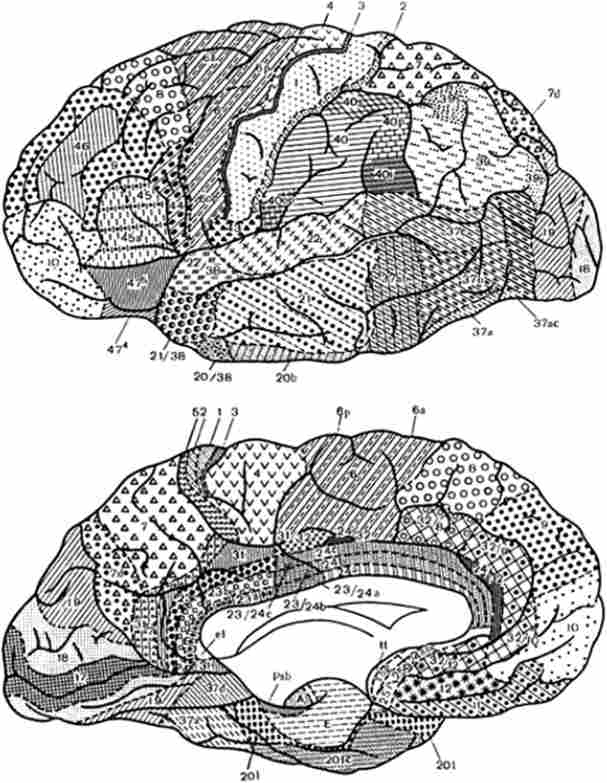 ����� ���� ���� ��������� �����