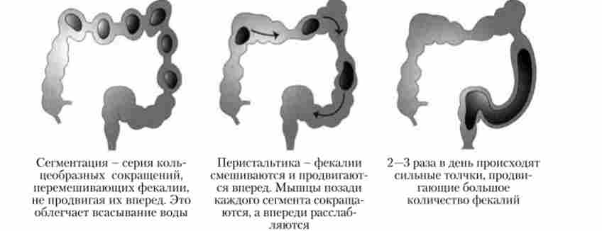 �������� �������� ��������� �� ��������, ��������� ������� ������, �� �� ���������� ����������� ������������ ����