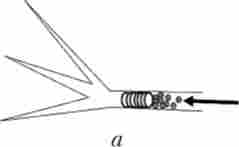 ����� ���������� ����������