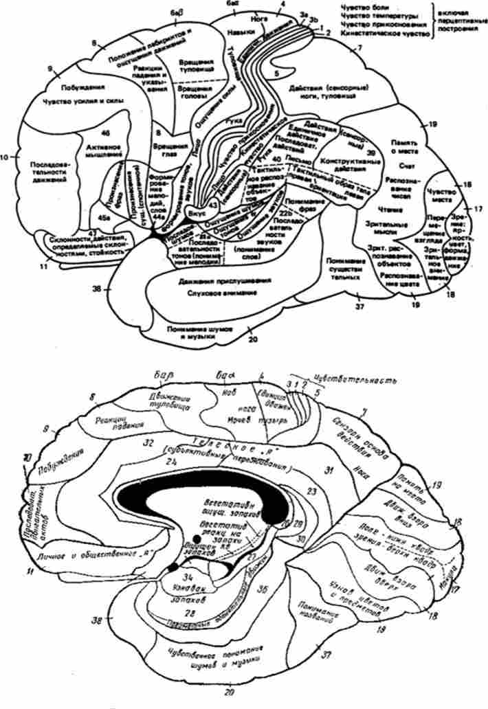 ������������� ���� ���� ��������� �����