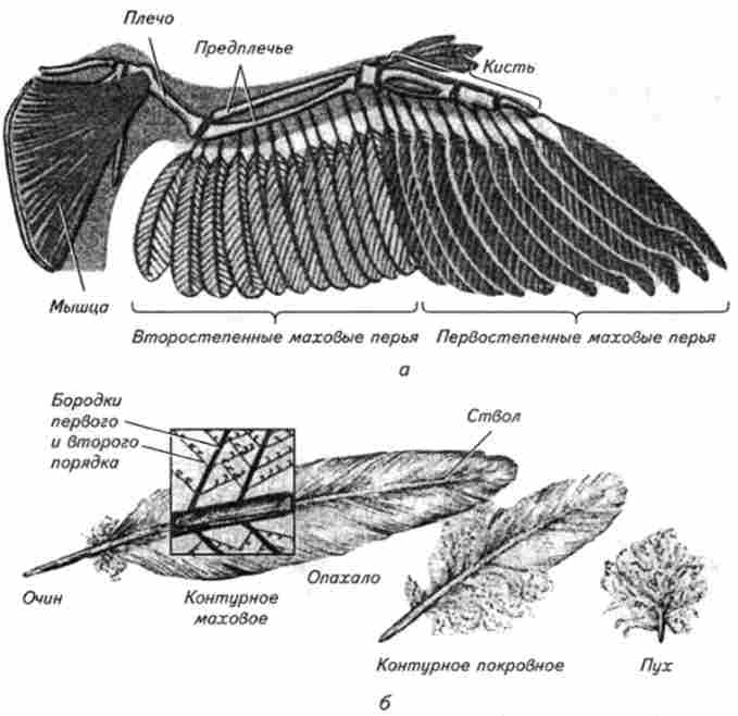 ϳ�'���� ������ �����