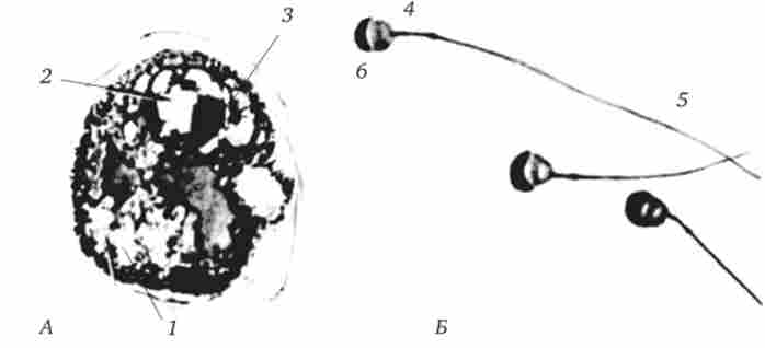 �������� ��������� �� ���� �������� �����