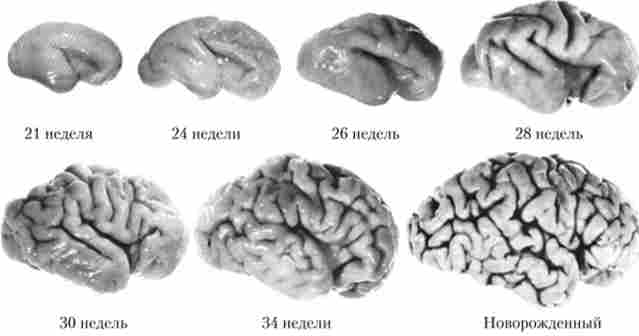 �������� ������� ������ ����� � ����� �� ���������������