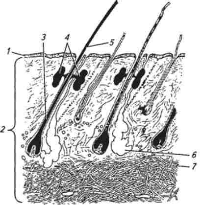 ������ ����� ���������� �����