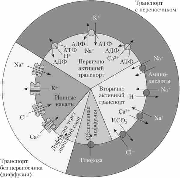 ������� ���� ������������ ��������� � ��������� ���������