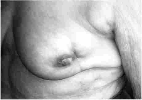 ��������� ���� ��� ��������, ������� �����, ���������� ������� ������ ��� �������� ����