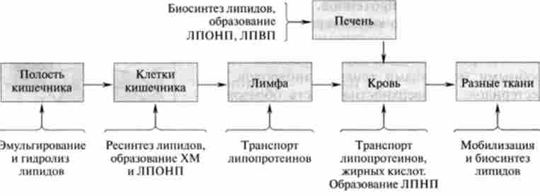 ����� ������������ � ���������� ����