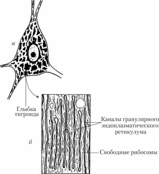 ҳ���� (�������� ͳ���)