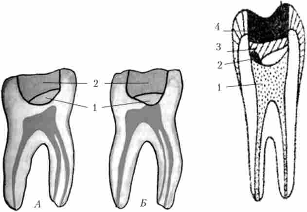 �������������� (���������) ����� �������� � ����������� ����������� �񳺿 ������ ����