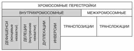 ���� ����������� ���������