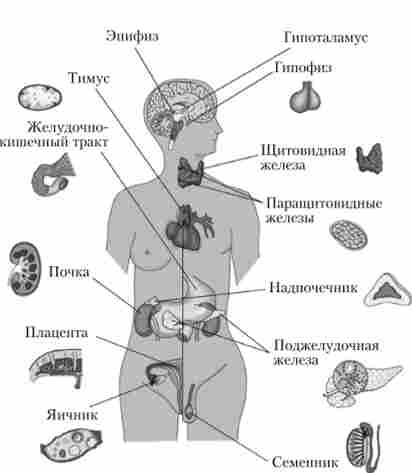 ������ ��������� �������� ������