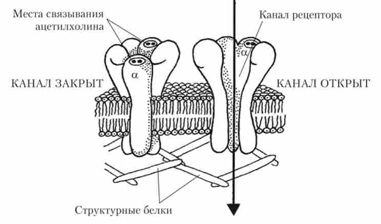 ��������� ������ ����������� �������������� ���������
