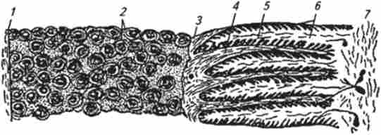 ����� ����������� ������ ����� ������