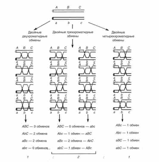 ���� �������� ������, ���������� ��� ��������� ����� ����������� ����������� � �����