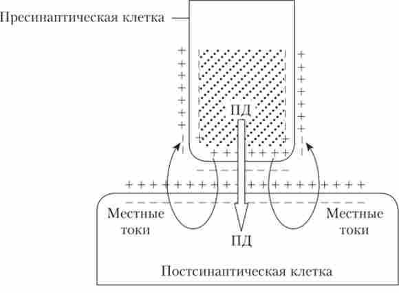 ����� ������ ������������ �������