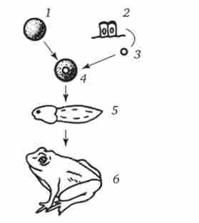 �����, ���� ������ ������������� ������������� ���������� �������� ��������������� ������