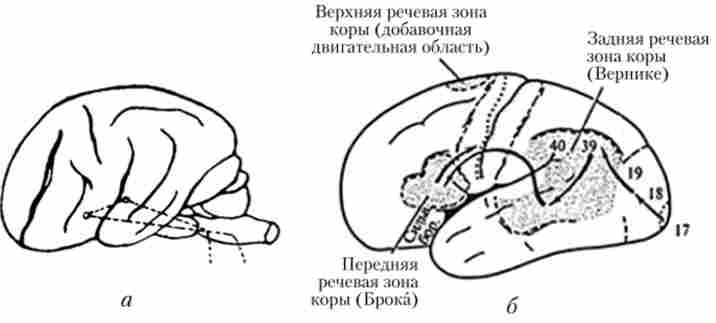 ��������� ��� ����� �����, ������������� �� ����