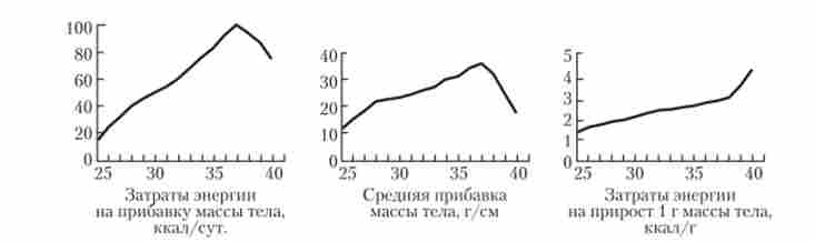 ������������ �������� ��������� � ����� (�� �� ������ - ����� ������������������ ������)