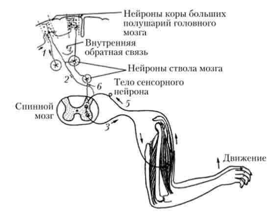 �������� ����� �������� �����, �� ������ ������ � ��������� ��������� ������ ������ ����