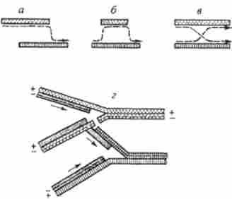 г��� ����� ��������� ���������� ���������