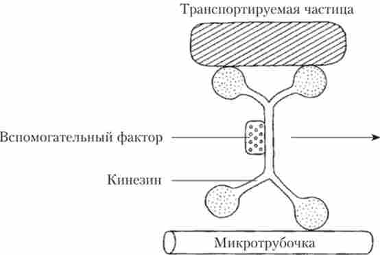 ����������� ��������� �� ��������� ������