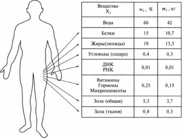 I. ������� ����� ��������� ������ (� / = 70 ��)