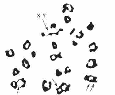 ����� ������� � ����� � ������