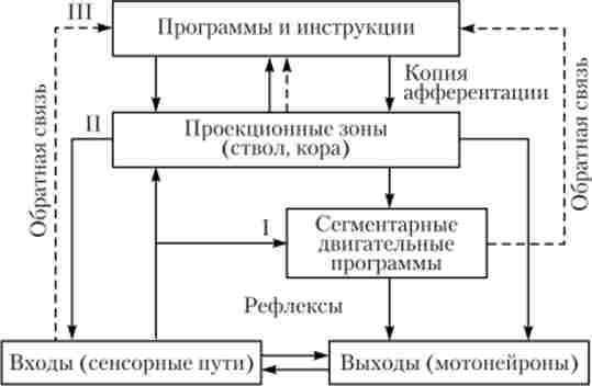 ���������� ����������� ������ ��������� ������