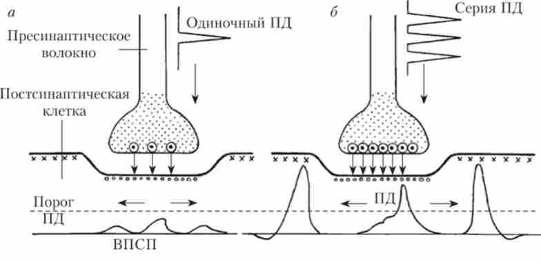 ����� ��������� �������