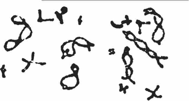 ���䳿 �������� � ����� ������