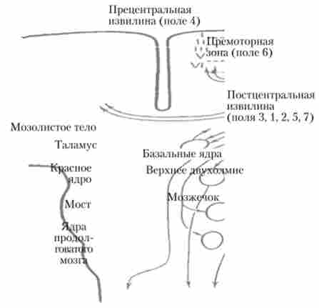 ��������� �����, �� ������ ������ � ��������� ������