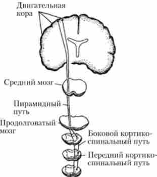 �������� �����